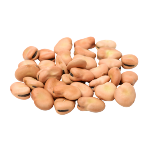 broadbeans (2)