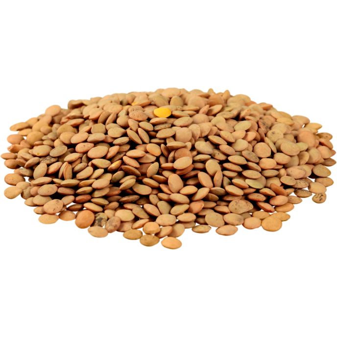 lentils